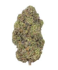 Amnesia Haze Strain