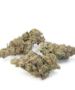 Candyland Strain