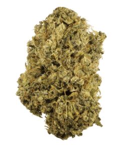Durban Poison Strain