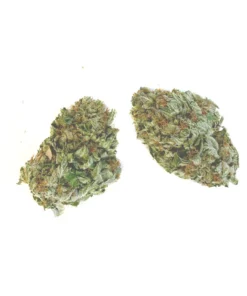 Green Crack Strain 