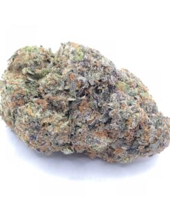 Guava Strain