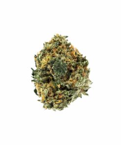 Hindu Kush Strain