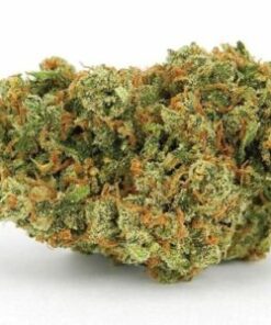 Jack Herer Seeds