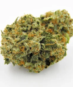 Kosher Kush Strain