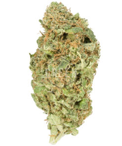 Lemon Haze Strain