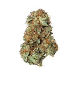 MK Ultra Strain