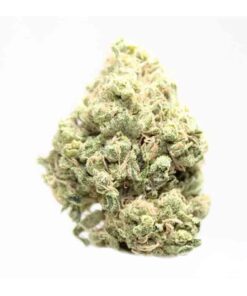 maui wowie strain