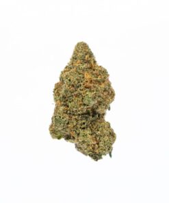 northern lights strain