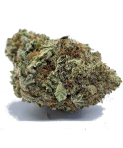 Purple Kush
