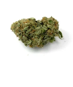 Lemon Sour Diesel Strain