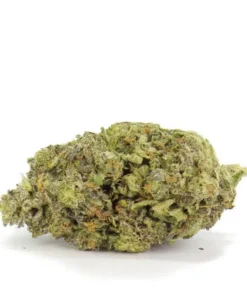 strawberry cough seeds