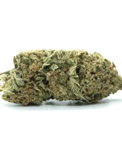 Super Silver Haze Strain