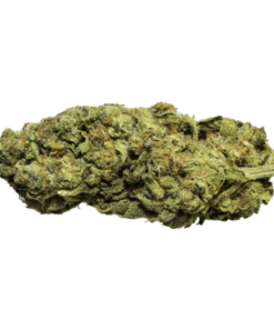Tangie Strain