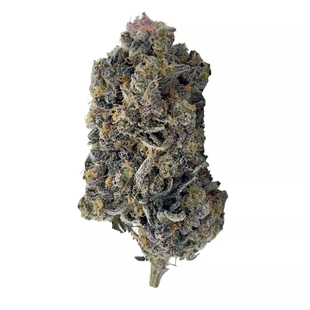 Buy-Tropicana-Cookies-Strain-Online-UK tropicana strain