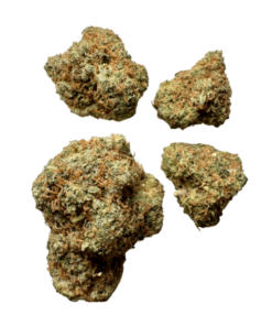 amnesia haze strains