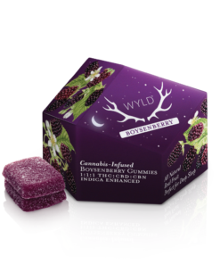 WYLD Boysenberry 1:1:1 CBD:CBN + Indica Enhanced Gummies | 100mg