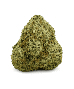 Critical Mas