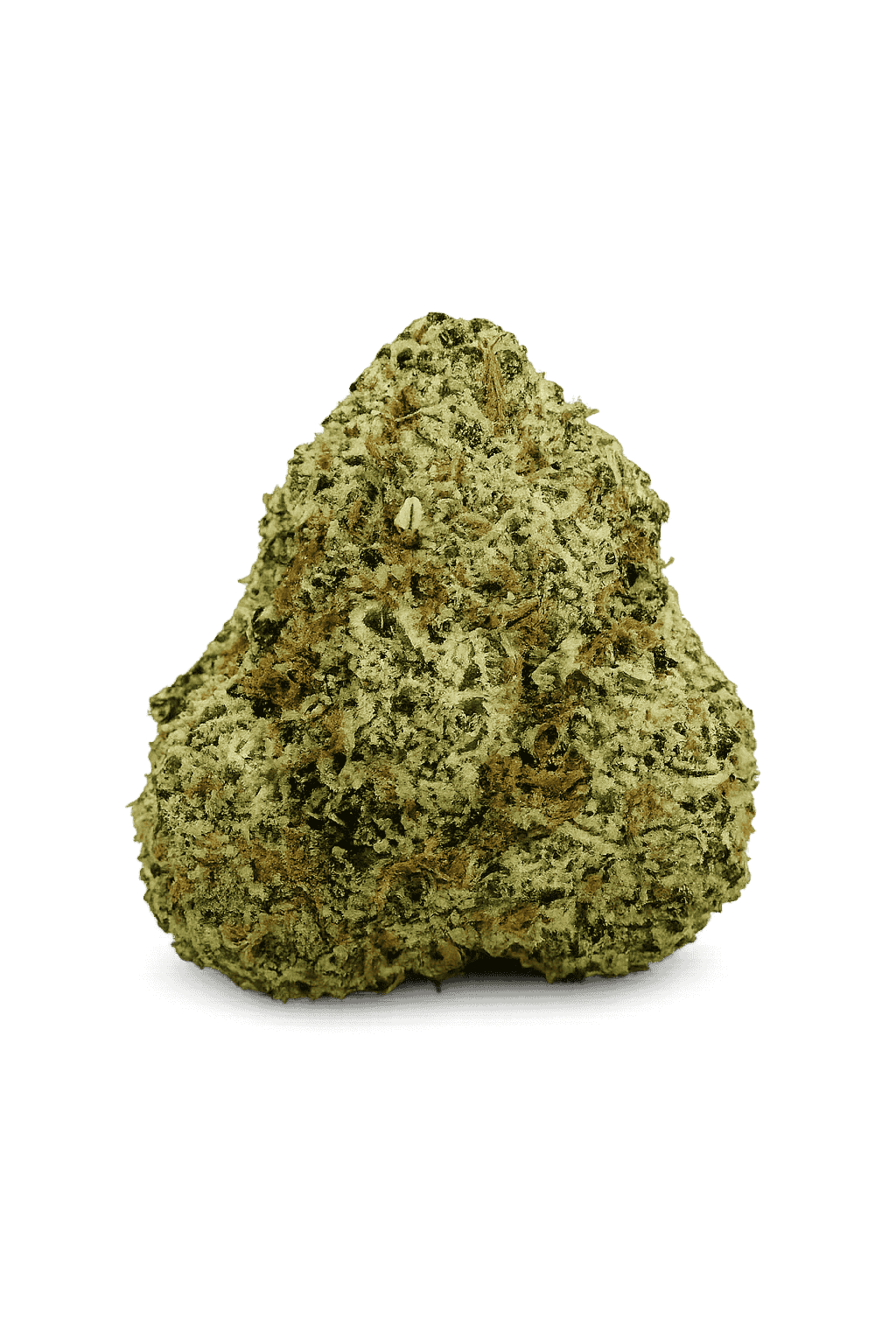 Critical-Mas Critical Mas