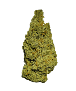 Amnesia Haze