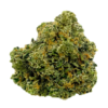 Mimosa