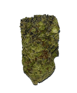 Lemon Cherry Gelato