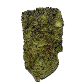 Lemon Cherry Gelato