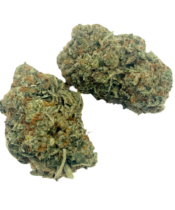Stardawg