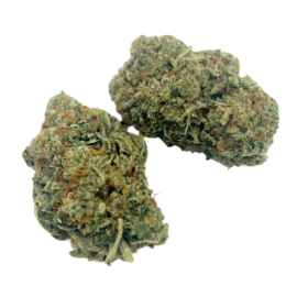 Stardawg