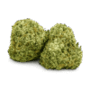 Lemon Tree