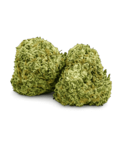 Lemon Tree